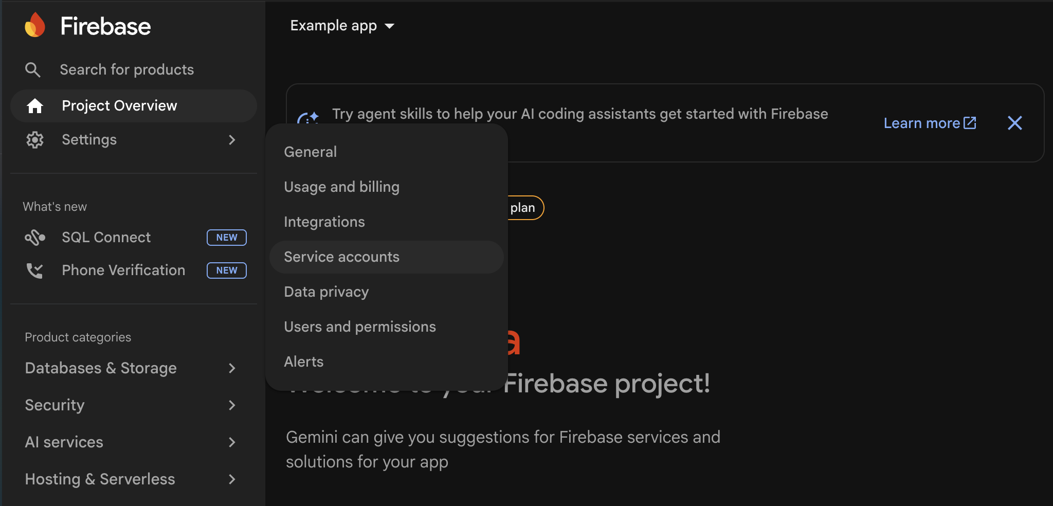 Service accounts page